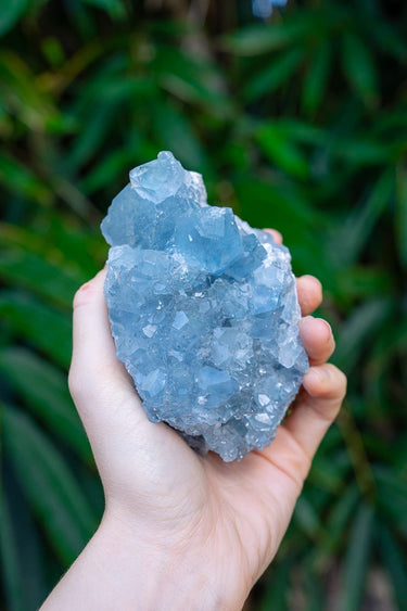 Celestite Cluster
